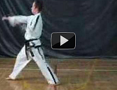 Videos for 10th Kup White Belts