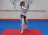 Videos for 9th Kup Yellow Stripe Belts