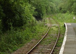 The tracks lead off into the wilds of Cornwall.
