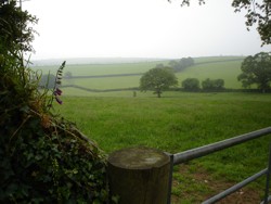 Fields beyond Stocks Lane.