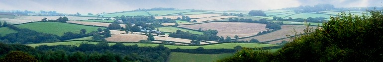 A hazy summers day near Stocks Lane.