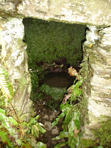 Inside St.Nonna's Well.