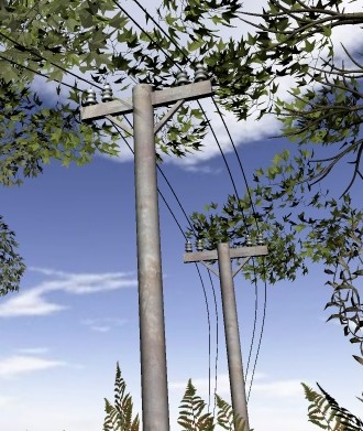 Barrow Hill's reassuring telephone poles.